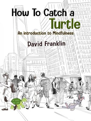 cover image of How to Catch a Turtle